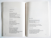 Symmetrie der Risse | Gedichtband